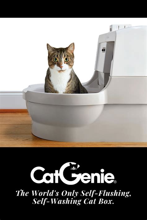 A Magical Solution: How Cat Litter with Added Odor-Fighting Power Works